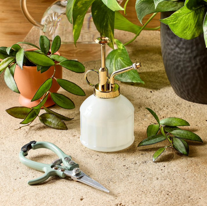 Modern Sprout Gardening Shears and Glass Plant Mister Set
