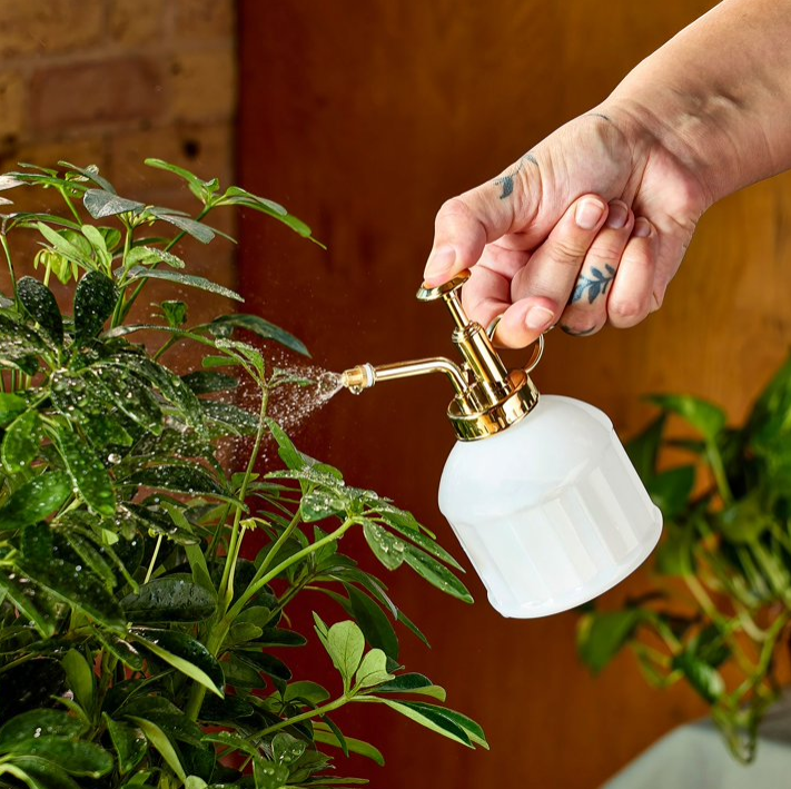 Modern Sprout Gardening Shears and Glass Plant Mister Set