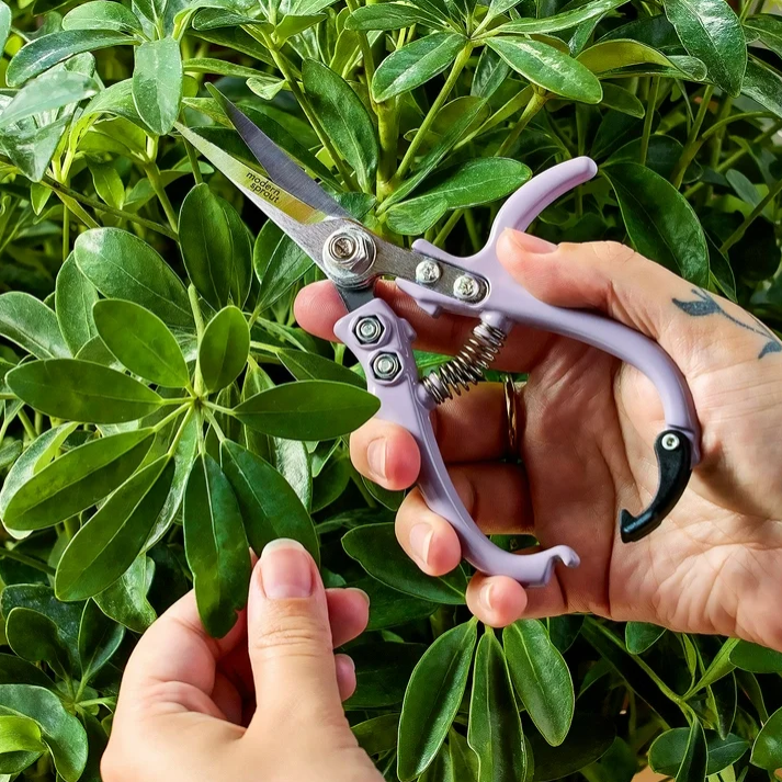 Modern Sprout Gardening Shears and Glass Plant Mister Set