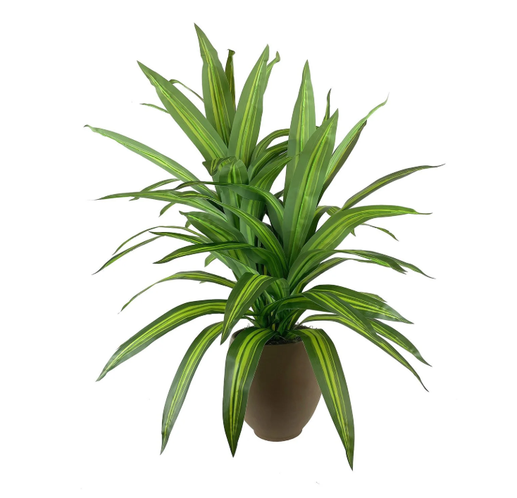 Faux 5' Deluxe Dracaena Floor Plant in Brown Tuscany Pottery Pot